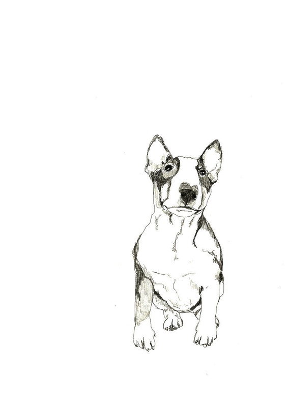 Bull Terrier Print of Original Drawing Dog Art