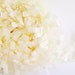 Cream Fringe Garland/ Trim - for gift wrapping, altered art, scrapbooking, decorating, weddings, party supply, holiday