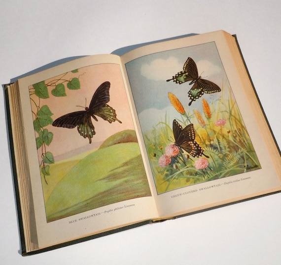 Butterflies The Nature Library Vintage Book