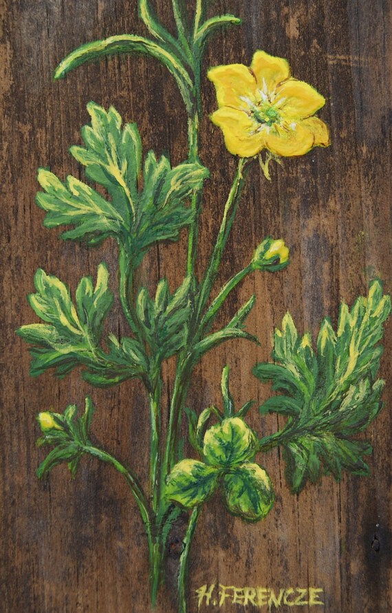Yellow Buttercup Flower Painting Antique Wood Original
