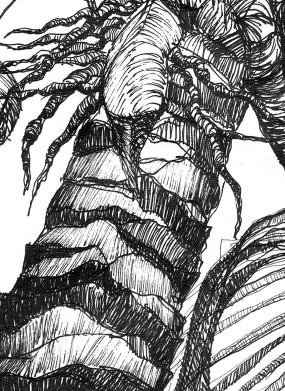 Art Pen and Ink Drawing Tropical Palm Tree with by vhmckenzie
Hawaiian Palm Tree Drawings