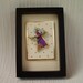 RESERVED for Nannnybee - Party in a Card framed ACEO