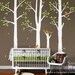 Spring Trees and Birds - Nursery Vinyl Wall Decal