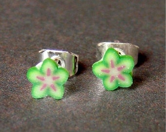 Miniature Fruit Slice Earrings - Tiny Starfruit Studs