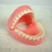 Nom Noms - Teeth Soap - 2pack - FLAT RATE SHIP