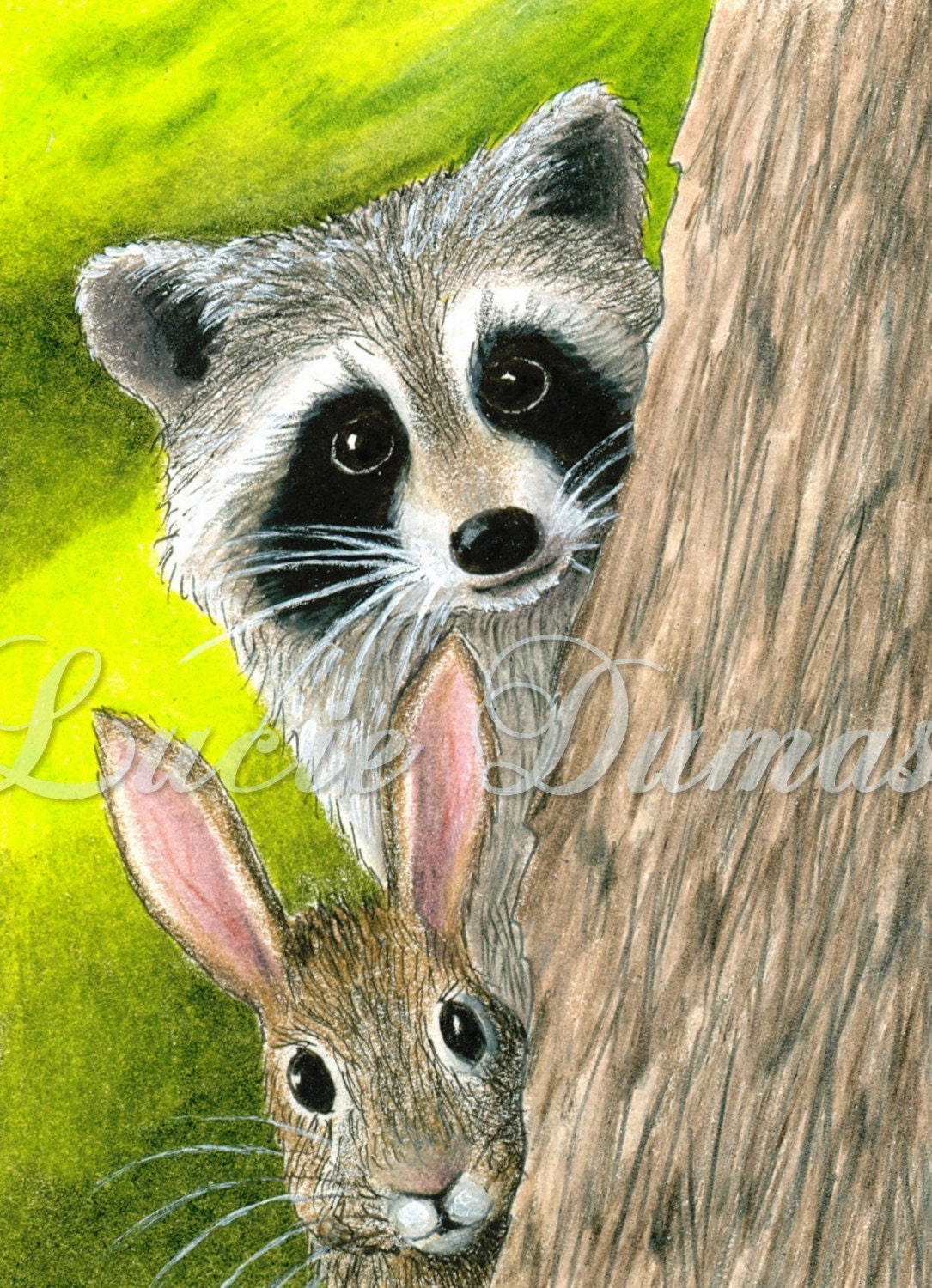 ACEO art print Hare 50 rabbit raccoon by Lucie Dumas