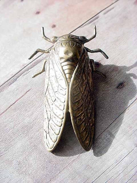 Unisex Gifts Under 20 cicada brooch gold brass unusual insect bug wings unisex Unisex Gifts Under 20 cicada brooch gold brass unusual insect bug wings unisex
