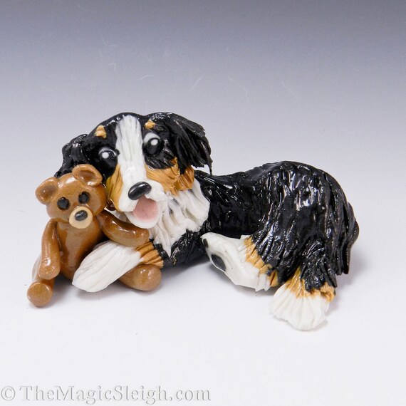 teddy bear bernese mountain dog