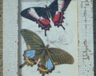 Butterfly Group Print Recycled Wood Frame SBF01