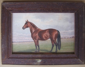 Farm Animal Horse Print Recycled Print Wood Frame HS2