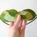Felt Leaf Garland Laurel Headband Golden and Moss Headpiece by OrdinaryMommy on Etsy