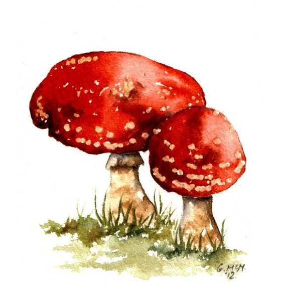 Watercolour sketch Fly agaric toadstool