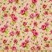 Sweet tweet Timeless treasures roses in pink paisley 2 yards