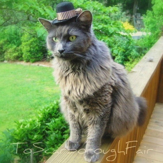 Cat Hat Dress Up Top Hat for Cats and Dogs Autumn Hat