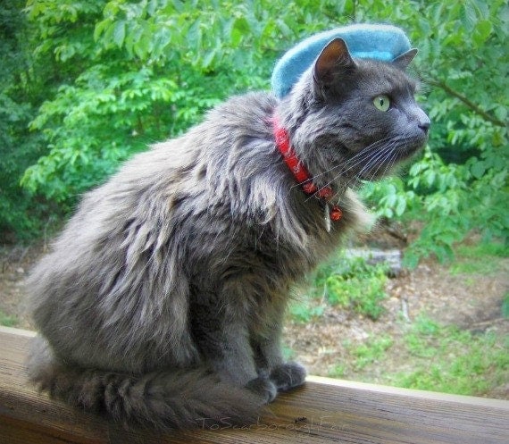 Cat French Beret Wool Beret for Cats and by ToScarboroughFair