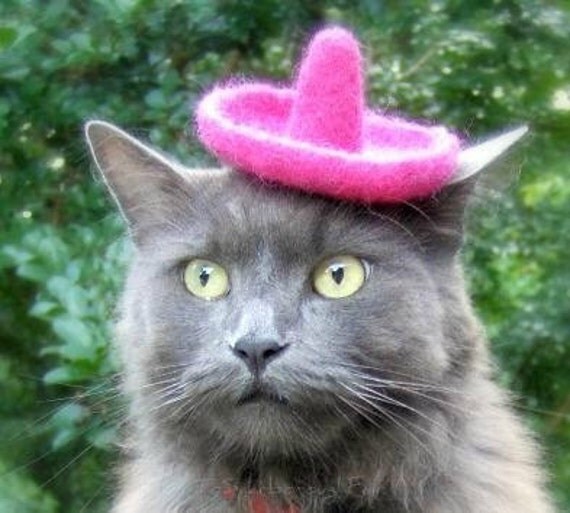 Items similar to Sombrero for Cats or Dogs - Wool Felted Hat - Fancy ...