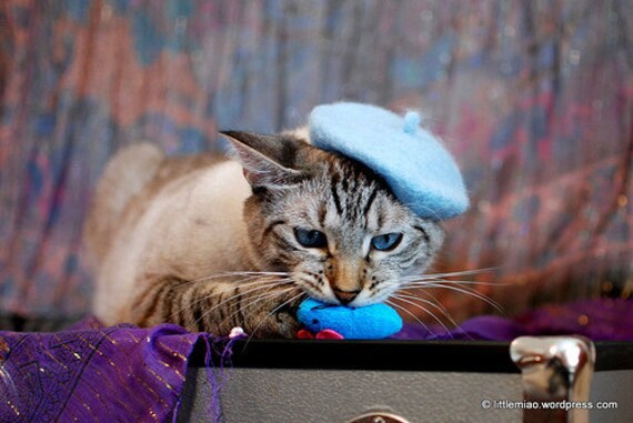 Cat French Beret Wool Beret for Cats and by ToScarboroughFair