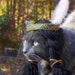 Cat Costume - Indian Headdress