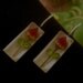 Earrings - Real Roses preserved in resin - Set in Sterling Silver