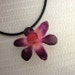 Real Miniature Orchid Pendant - Purple and Pink Dendrobium on 16" Black cord