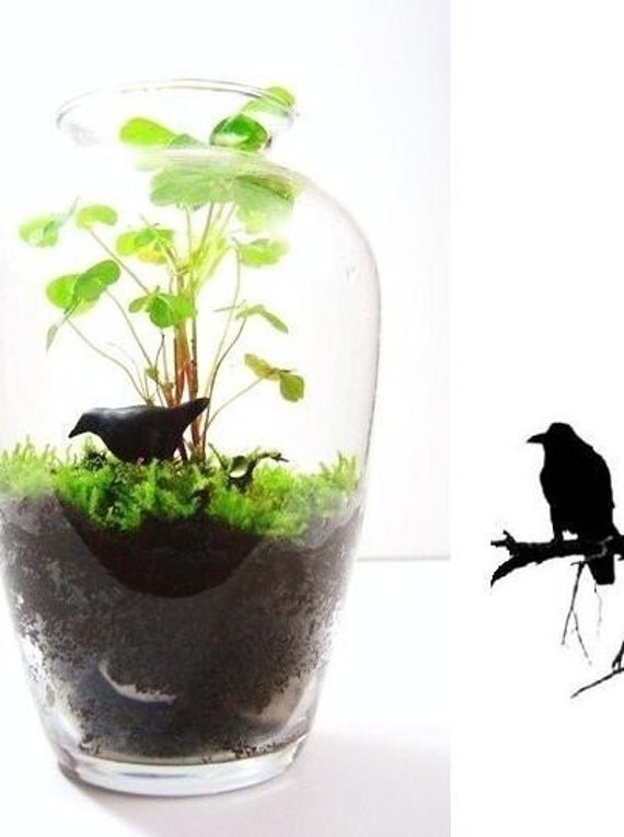 raven black as night miniature terrarium figurine raven black as night miniature terrarium figurine