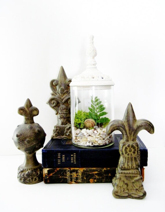 Cottage Chic Plant Terrarium Romantic Housewarming Decor