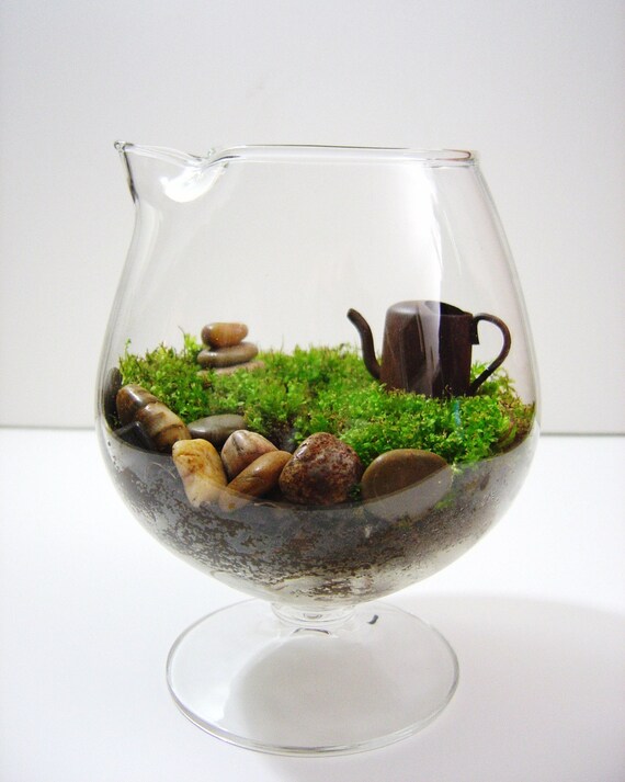 The Rock Garden Terrarium