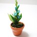 Miniature Blue Hollyhocks Potted Plant - Flower Fairy Garden