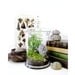 Large Apothecary Jar Terrarium: Woodland Treasures