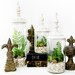 Last One - Decorative Terrarium Set: Woodland White Shabby Chic Jars with Live Plants