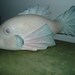 Vintage Wood Carved Hand Painted Fish / BEACH House Chic - Rustic , LODGE , CABIN