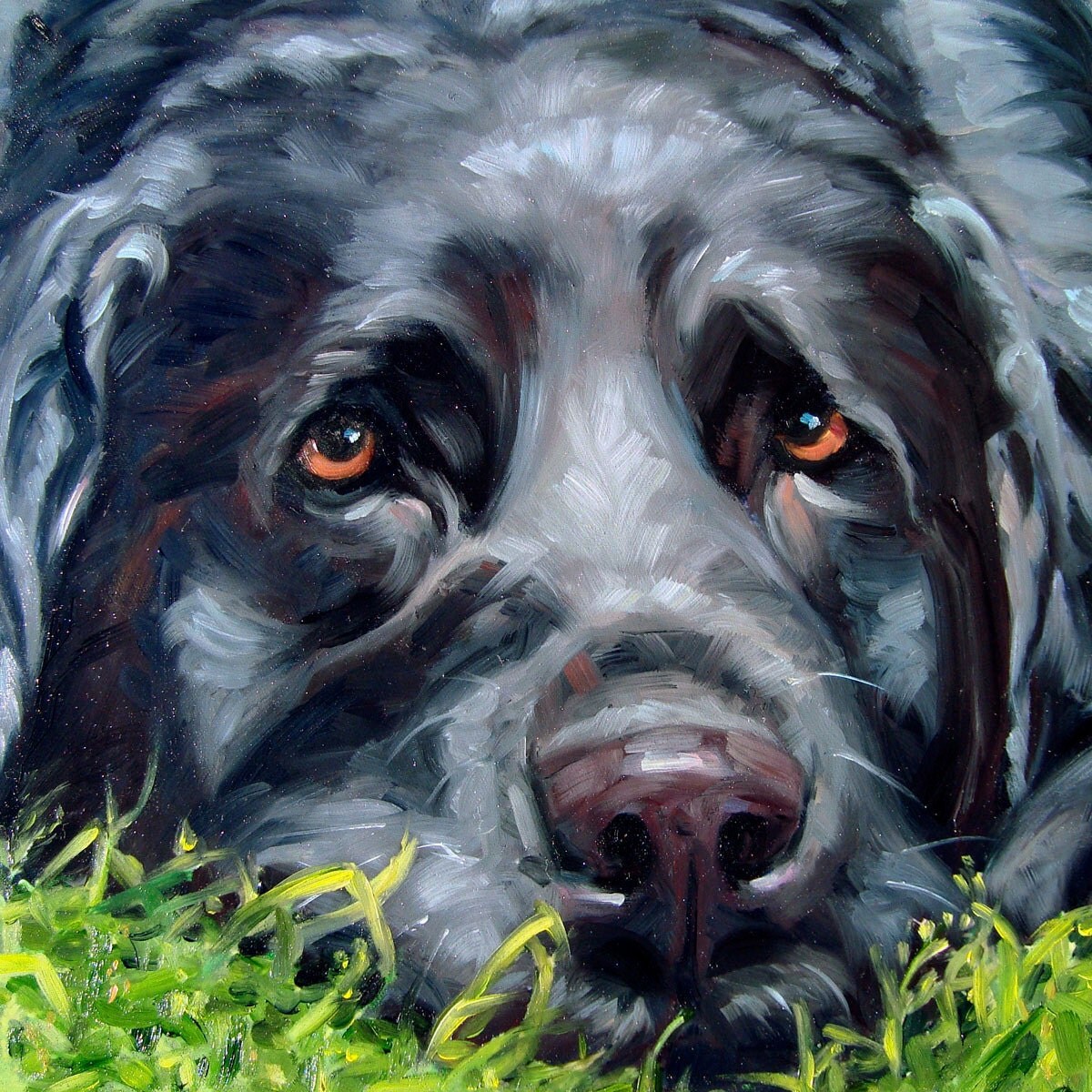 LovelyLucy custom Pet Portrait Oil Painting by puci
