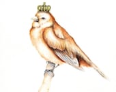Bird with Crown Art print- from original painting