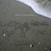 Family\/Family Tree. You Choose Personalized Custom Names in the Florida Sand - 5x7 Print