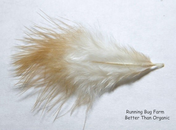 feather stuffing