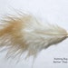 Ginger Tipped Feather Down Semi-plume Loose Organic Stuffing Pillow Fill New Hampshire Red Hen Free Range Birds500
