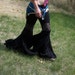 Ruffle Bell Bottom Pants Belly Dance Tribal Gothic and Funky