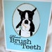 Brush Your Teeth Boston Terrier - 8x10 Eco-friendly Print