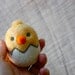 One Little Tiny Hatching WOOLY Chick Egg Made to Order