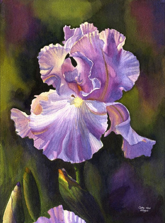 Purple Iris Art Watercolor Painting Print by Cathy Hillegas