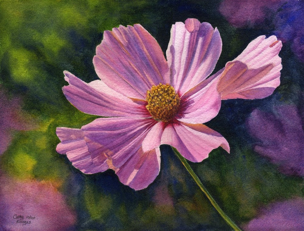Pink Cosmos art watercolor painting print of original floral