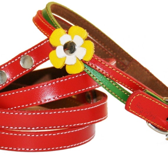 Rasta Swirls Leather Dog Collar and Leash Set