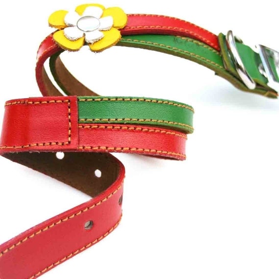 Rasta Swirls Leather Dog Collar and Leash Set