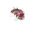 Pink Hedgehog, Flowers. limited edition 8x10 print.