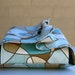 Beautiful swirl casserole carrier