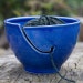 Blue Yarn Bowl by Bunny Safari