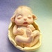 Starlight a sleeping baby Nobbin Troll or elf