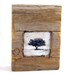 Hiding places - The Apple Tree - original encaustic mixed media carved in reclaimed barn wood