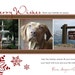 Holiday Snowflakes Photo Card. Style Name - Anchorage. Option to Print.