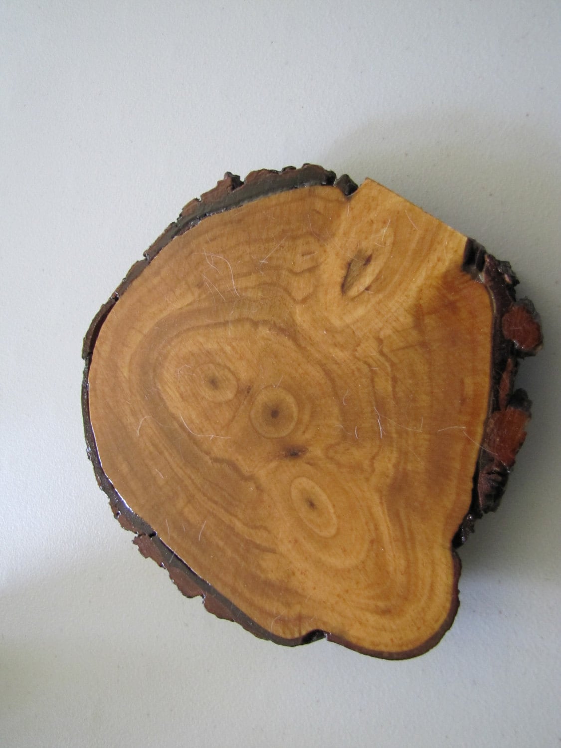 wooden trivet finished slice of nature